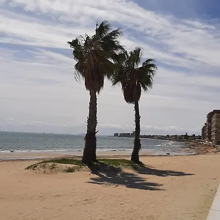 Precioso Con Ascensor A 80 Metros Del Mar Торевьиа