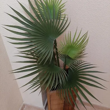 Precioso Con Ascensor A 80 Metros Del Mar