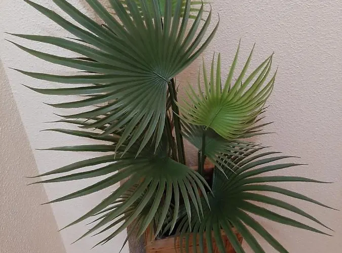 Precioso Con Ascensor A 80 Metros Del Mar